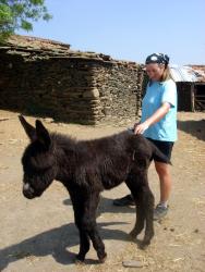 Friedel and a baby donkey