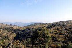 A view over the start of the Douro valley