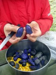 Have you ever seen purple potatoes??