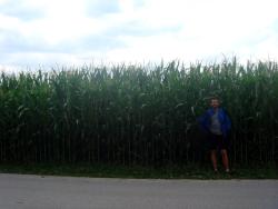 Andrew and the corn