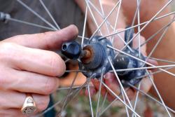 Bike Wheel Bearing Cleaning