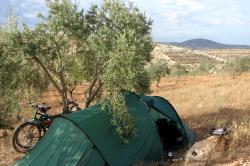 Camping in the olive groves
