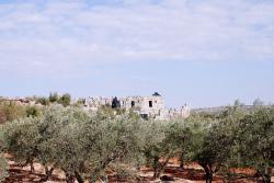 Overlooking the ruins of Al Bara