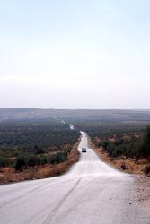 The long road to Apamea