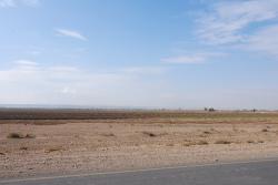 Farmland by the Euphrates