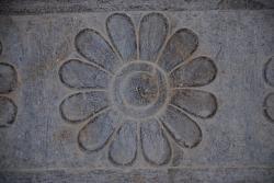 These flowers are on everything at Persepolis