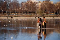 A family feeding the birds in Esfahan