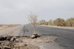 The true state of Turkmen roads