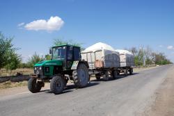 Cotton, the lifeblood of Uzbek farmers