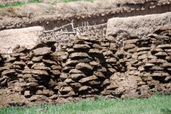 Dung piled up to dry