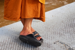 A monk's feet