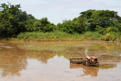A tiller for rice fields