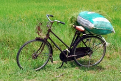 Bike against green fields