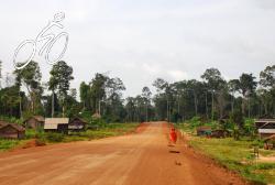 Monks walking the rural roads of Cambodia