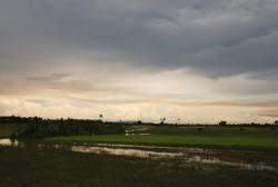Storm over the rice fields