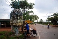 Giant Pineapple!
