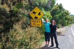 We are collecting Aussie road signs