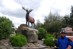 Andrew celebrates 40,000km with the Mossburn stag