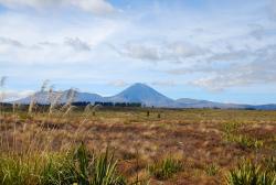 Volcanoes in Tongariro National Park!