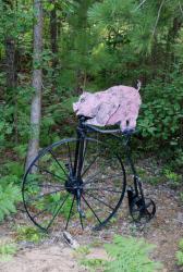 Pig on a Penny Farthing