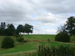 Beautiful view in the fields around Stratford-upon-Avon