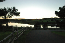 the evening light on the island