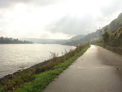 Along the Rhine path