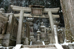 Koya San Graveyard