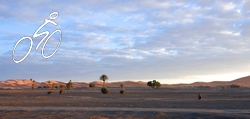 An early morning view of the Merzouga dunes