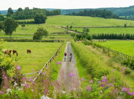 Cycling the Vennbahn, an easy ride on one of Europe